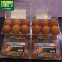Huevos estuchados XL (docena)